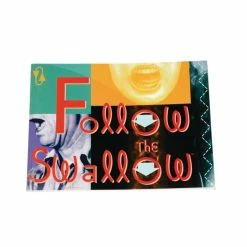 Follow The Swallow Flip- Book