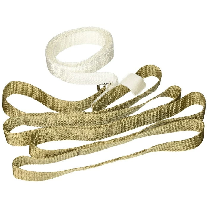 Sammons Preston Bed Pull-Up